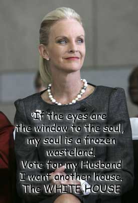 cindy_ice Vote for McCain, I need Another House!!